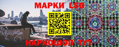 крисы Моздок