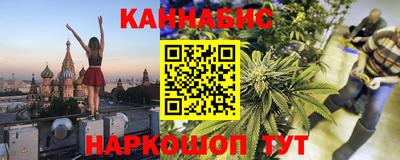 крисы Моздок