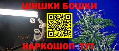 крисы Моздок