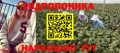 крисы Моздок