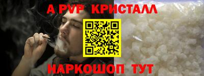 крисы Моздок