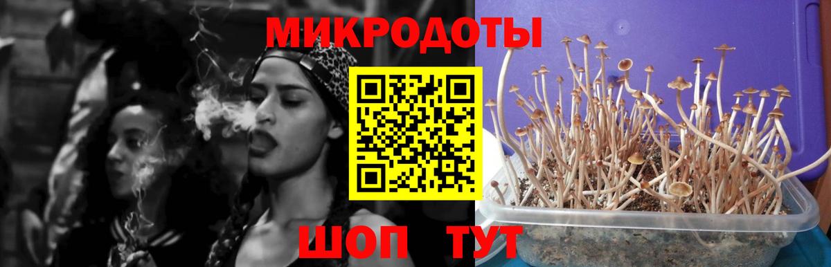 купить  цена  Галлюциногенные грибы Cubensis  Соликамск  Вход с VPN  Галлюциногенные грибы мухоморы 
